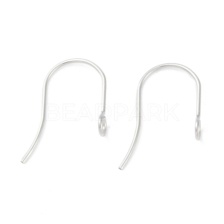 Tarnish Resistant 316 Surgical Stainless Steel Earring Hooks X-STAS-P162-13P-B01-1