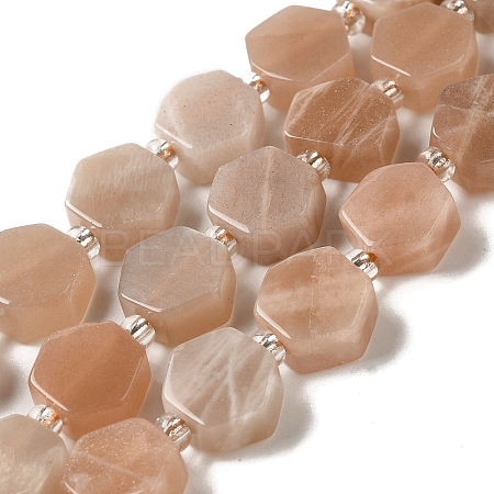 Natural Sunstone Beads Strands G-P534-A09-02-1