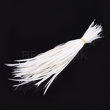 Goose Feather Costume Accessories FIND-T037-09L-1