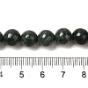 Natural Black Jade Beads Strands X-G-H067-A03-8MM-5