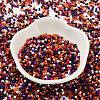 Baking Paint Glass Seed Beads X-SEED-S042-05B-49-2