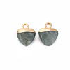 Natural Labradorite Charms G-N326-121-05-2