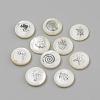 Natural Freshwater Shell Beads SHEL-Q011-P-1