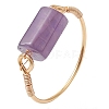 Column Natural Aquamarine & Rose Quartz & Lapis Lazuli & Labradorite & Amethyst Finger Rings RJEW-JR00817-4