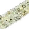 Natural Prehnite Beads Strands G-N342-124-1