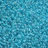 11/0 FGB Grade A Transparent Glass Seed Beads X-SEED-N001-E-314-2