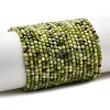 Natural Serpentine Beads Strands G-P603-C-2mm-06-2