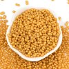 Baking Paint Glass Seed Beads SEED-L011-09A-22-2