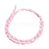 Natural Freshwater Shell Beads Strands SHEL-C010-01E-3