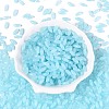 Opaque Colours Glass Seed Beads SEED-T007-16E-1