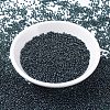 MIYUKI Round Rocailles Beads X-SEED-G007-RR0362-2