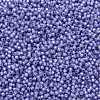 TOHO Round Seed Beads SEED-JPTR11-2123-2