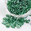 Tube Transparent Colours Pearl Luster Plated Round Hole Glass Bugle Beads SEED-I001-107B-1