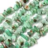 Natural Chrysoprase Beads Strands G-G0004-D01-A-5