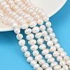 Natural Cultured Freshwater Pearl Beads Strands PEAR-I007-07X-07A-1