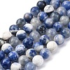 Natural Sodalite Beads Strand GSR6mmC013-4