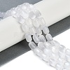 Natural Selenite Beads Strands G-F750-A-3