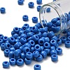 TOHO 3/0 Round Beads SEED-TR03-0043D-1