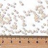 Baking Paint Glass Seed Beads SEED-S042-15A-02-4