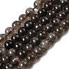 Natural Smoky Quartz Beads Strands G-B167-A09-4mm-3
