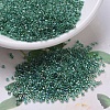 MIYUKI Delica Beads SEED-X0054-DB0060-1