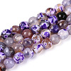 Dyed & Heated Natural Fire Crackle Agate Beads Strands G-N359-01A-05-2