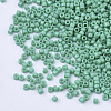 Baking Paint Cylinder Seed Beads SEED-Q036-02A-D04-3