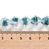 Handmade Lampwork Beads Strands LAMP-Q036-03B-4