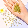 Preciosa® Crystal Beads Y-PRC-BA6-80250-200-4