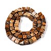 Natural Picture Jasper Beads Strands G-T139-6x6-27A-2