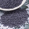 MIYUKI Delica Beads SEED-X0054-DB2292-1