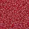 TOHO 8/0 Round Beads X-SEED-TR08-0109C-2