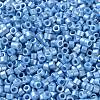 Baking Paint Glass Seed Beads X-SEED-S042-15A-11-3