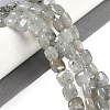 Natural Labradorite Beads Strands G-M435-A11-01-2