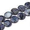 Freshwater Shell Beads Strands SHEL-N020-1-02-2