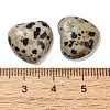 Natural Dalmatian Jasper Cabochons G-F776-02A-22-3