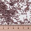 MIYUKI Round Rocailles Beads X-SEED-G009-RR0013-4