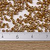 MIYUKI Delica Beads SEED-MY11-DB2273-4