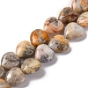 Natural Crazy Agate Beads Strands G-I372-A08-02-2