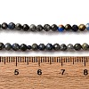 Natural Lapis Lazuli Beads Strands LS-G-L629-B01-3mm-03-5