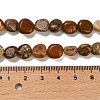 Natural Picture Jasper Beads Strands G-P497-01E-59-5
