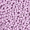 6/0 Baking Paint Glass Round Seed Beads SEED-S036-01C-08-3