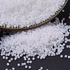 MIYUKI Delica Beads SEED-X0054-DB0220-1