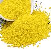 Frosted Colours Glass Seed Beads SEED-H003-06B-1