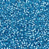 MIYUKI Delica Beads X-SEED-J020-DB0692-3