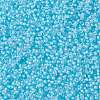 MIYUKI Round Rocailles Beads X-SEED-G008-RR0220-3