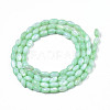 Natural Freshwater Shell Beads Strands SHEL-N003-25-B03-2