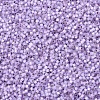 MIYUKI Delica Beads SEED-X0054-DB0629-4