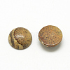 Natural Picture Jasper Cabochons X-G-R416-16mm-42-2