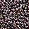 TOHO 8/0 Round Beads SEED-XTR08-0556-2